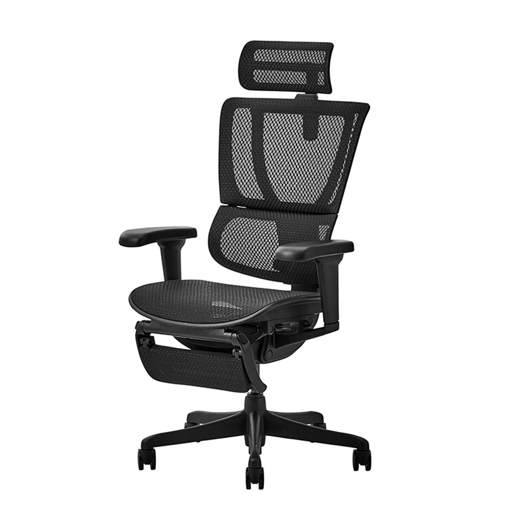 Ergohuman(エルゴヒューマン)「エルゴヒューマンFIT2 Lite」全2色【オンラインショップ限定品】