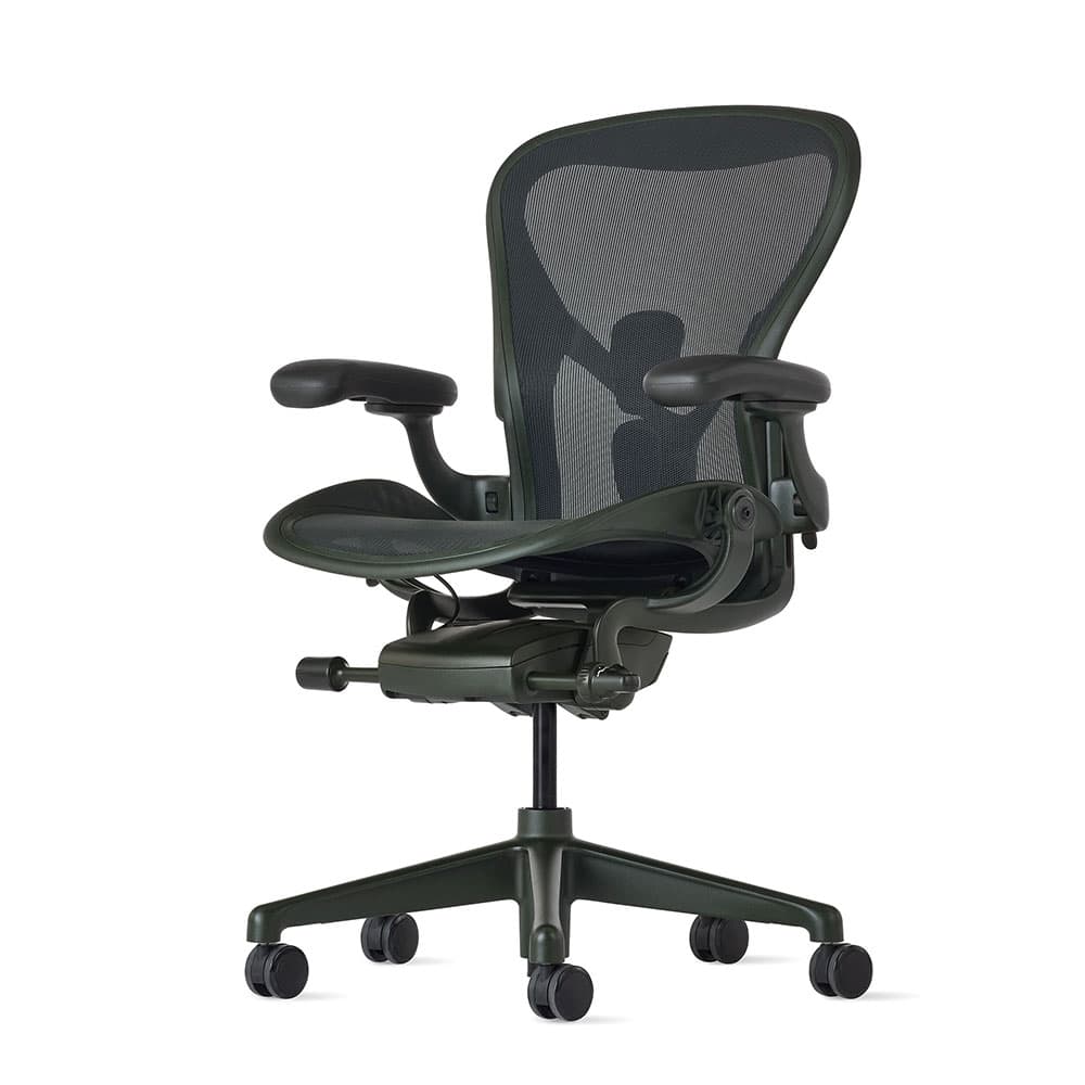 HermanMiller(ハーマンミラー)「アーロンチェア リマスタード」 ジャスパー Bサイズ【Home Office Sale 8月31日(月)16時まで20%OFF】