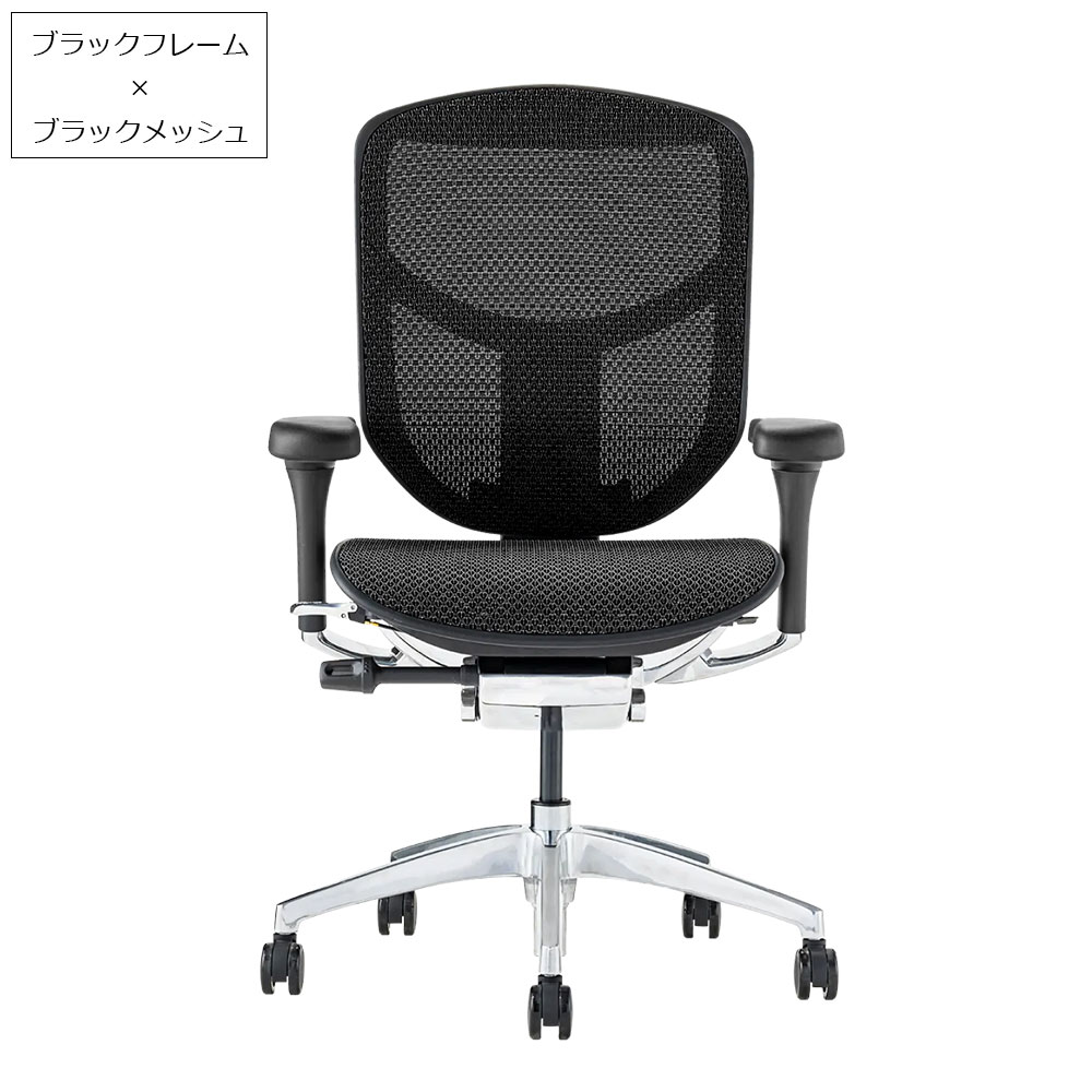 Ergohuman(エルゴヒューマン)「エンジョイ2 DC EJ2-LAM」フレーム全2色 張地全5色