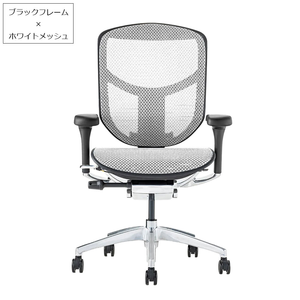 Ergohuman(エルゴヒューマン)「エンジョイ2 DC EJ2-LAM」フレーム全2色 張地全5色