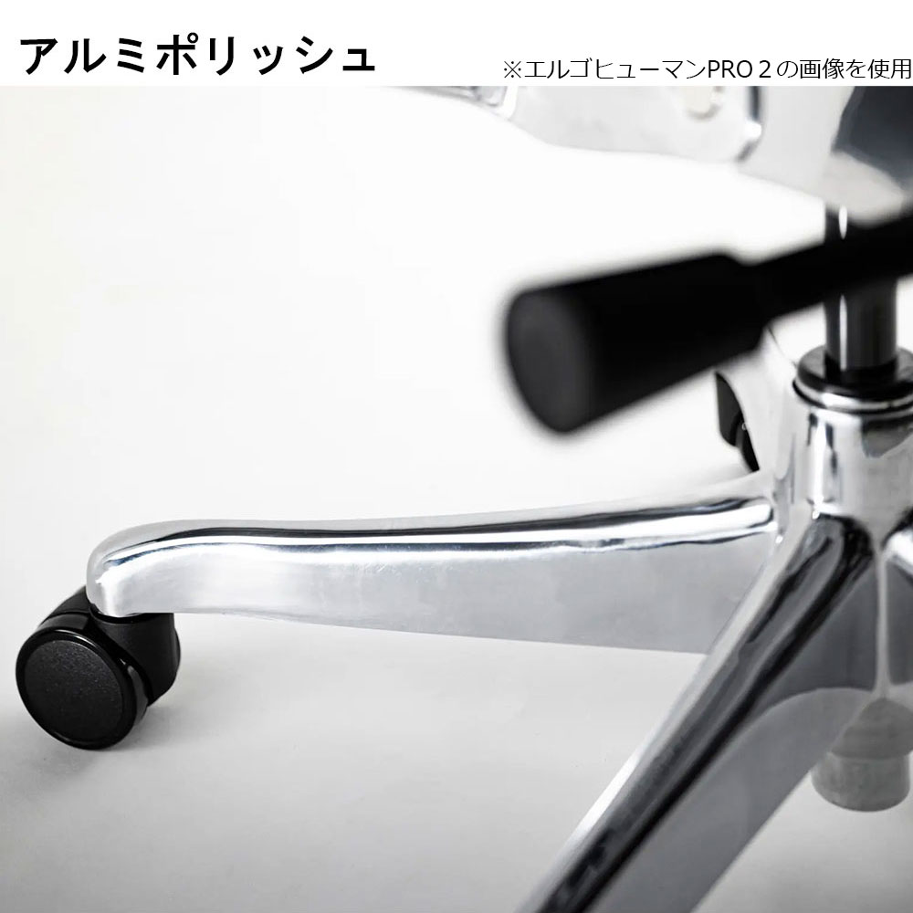 Ergohuman(エルゴヒューマン)「エンジョイ2 DC EJ2-HAM」フレーム全2色 張地全5色