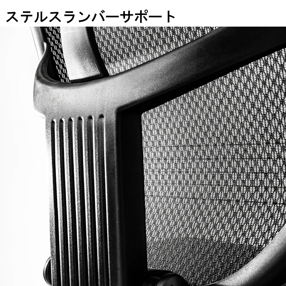 Ergohuman(エルゴヒューマン)「エンジョイ2 DC EJ2-HAM」フレーム全2色 張地全5色