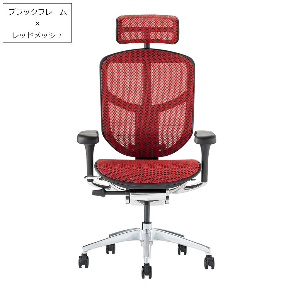 Ergohuman(エルゴヒューマン)「エンジョイ2 DC EJ2-HAM」フレーム全2色 張地全5色
